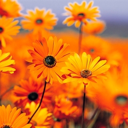 Test1